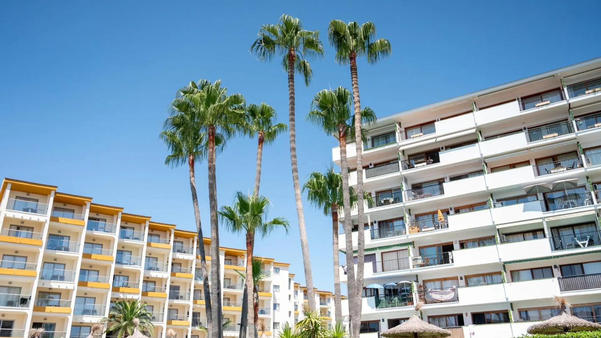 Ferienwohnung Vista Playa Alcúdia